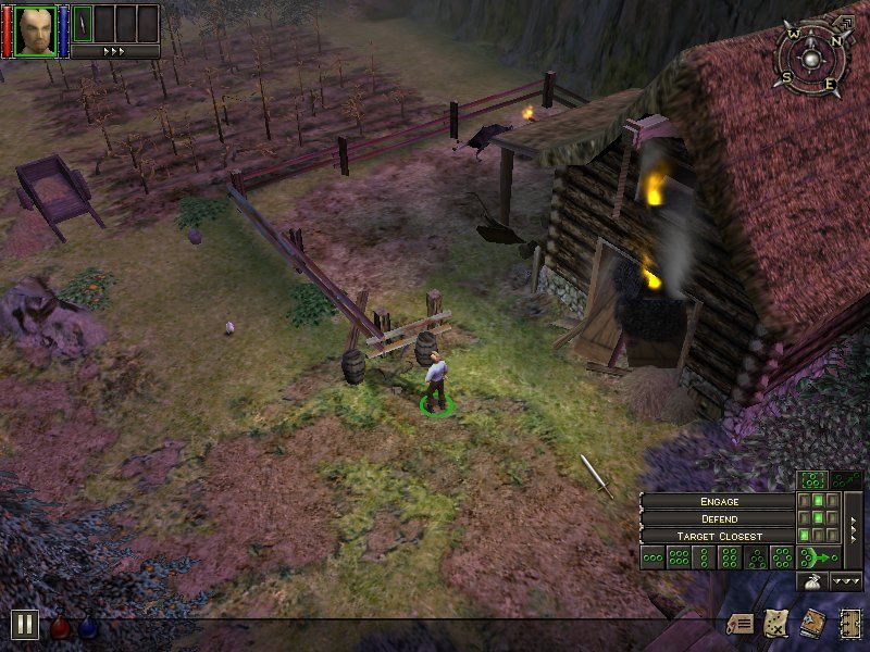 Dungeon Siege Screenshot #1