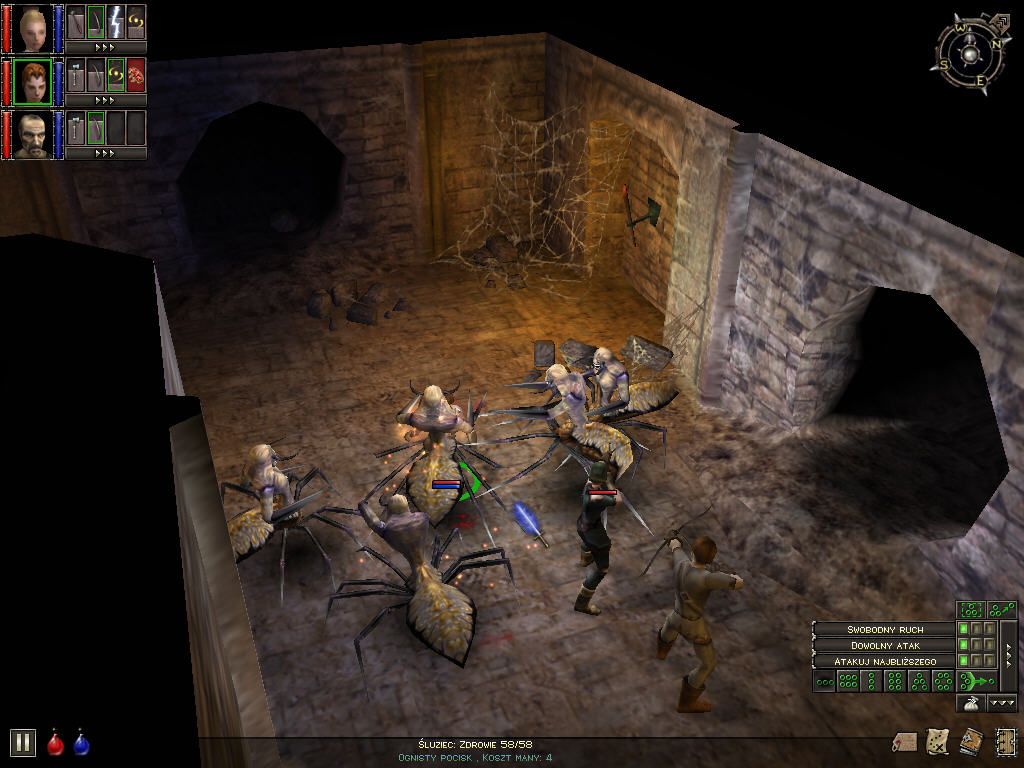 Dungeon Siege Screenshot #2